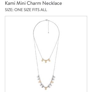 Stitch fix two tone necklace